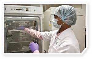 新药研发简介：新瓶装旧酒，浅谈肿瘤动物模型的变迁