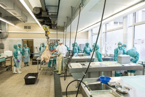 7月18日，不朽情缘mg官网将参加2011年ISSX/CSSX联合学术会议