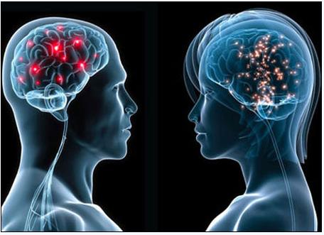 5月2号，医药经济报上发表了关于陈春麟博士的报道——CRO的中国式崛起路径