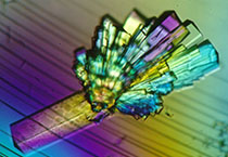 PD-1抑制剂成“抗癌神器”，国内外企业进展如何？