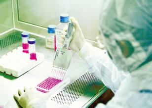 药物剂量与效应关系、药物作用机制研究等药效学研究的内容