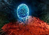 Nature：BATF3改善T细胞记忆应答，有望改善免疫疗法的疗效