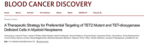研究者描述了一种新型靶向抗癌药物，这种药物可能会有效地治疗某些常见的白血病。