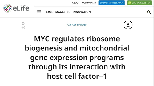 可以“融化”肿瘤的蛋白质，你一定没有听说过！