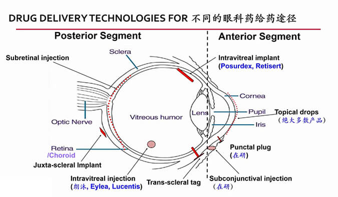 【内附回放+下半场预约】不朽情缘mg官网眼科药物专题研讨会上半场精彩回顾
