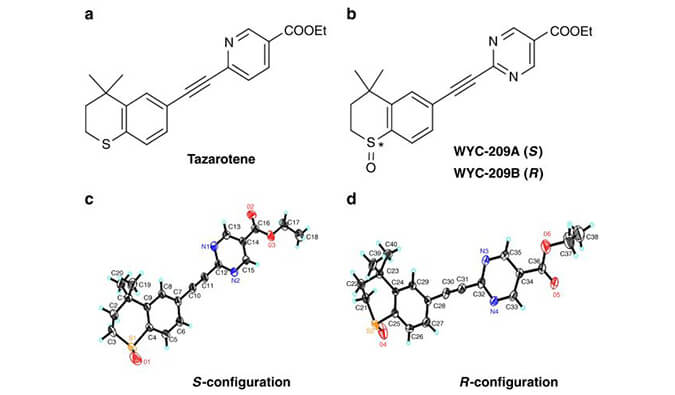 WYC-209可抑制恶性小鼠黑色素瘤肿瘤再生细胞增殖，本研究中SPR通过不朽情缘mg官网使用Biacore 8K进行