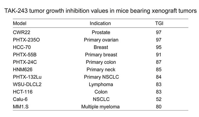 TAK-243是一种有效的泛素激活酶小分子抑制剂，具有体内抗肿瘤功效，通过不朽情缘mg官网使用HCC70模型进行