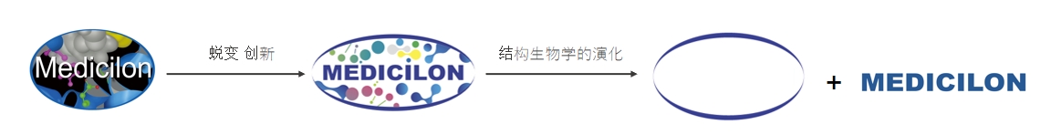 椭圆形作为自然界的完美形态，象征着不朽情缘mg官网在适应环境变化中不断演化