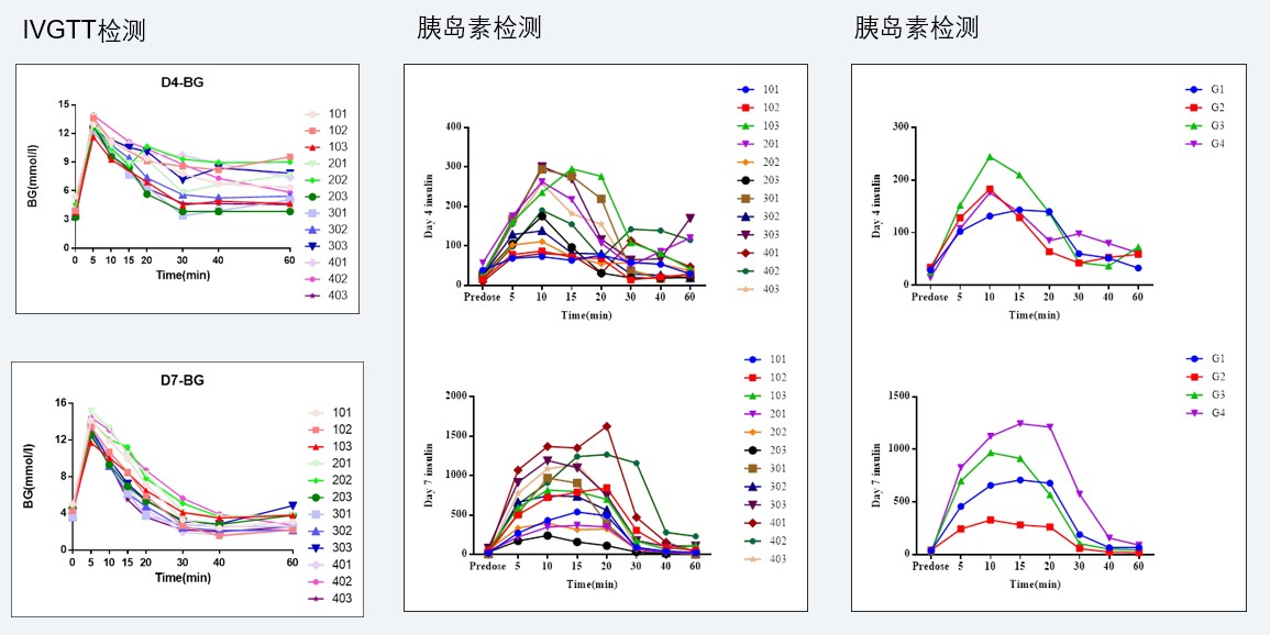 案例4：食蟹猴IVGTT和胰岛素检测实验.jpg