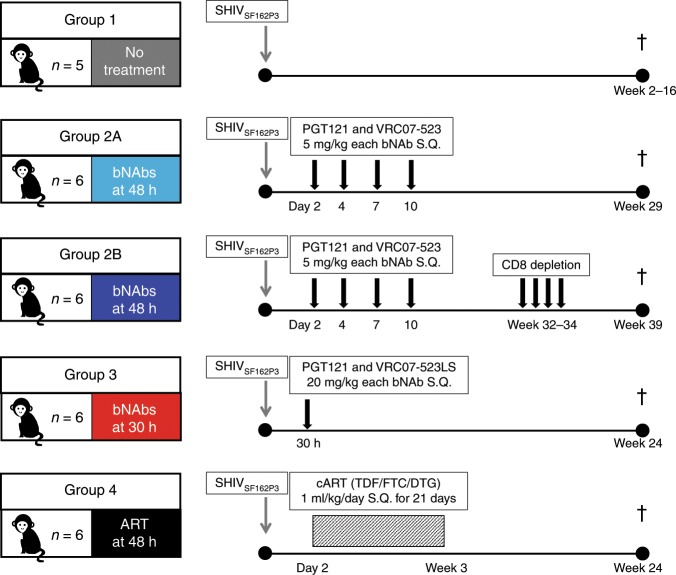 抗逆转录病毒疗法(ART)预防围产期HIV感染，本研究中多替拉韦钠盐和游离态均由不朽情缘mg官网提供