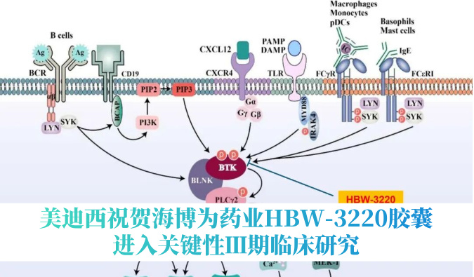 破解耐药性难题，不朽情缘mg官网：睾２┪┮礖BW-3220胶囊进入关键性Ⅲ期临床研究